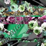 Colour:C