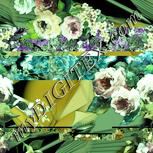 Colour:K
