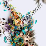 Colour:A