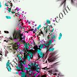 Colour:B