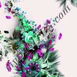 Colour:C