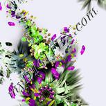 Colour:D