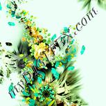 Colour:K