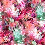 Colour:B