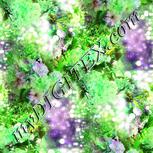 Colour:D
