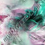 Colour:C