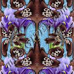 Colour:A