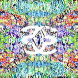 Colour:F