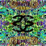 Colour:K
