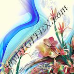 Colour:A