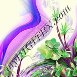 Colour:D