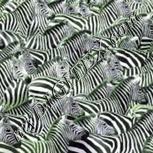 Colour:D