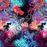 Colour:B