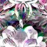 Colour:B