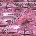 Colour:B