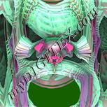 Colour:B