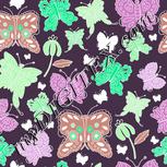 Colour:D