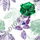 Colour:F