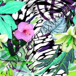 Colour:C