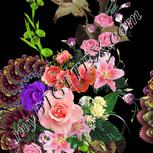 Colour:A