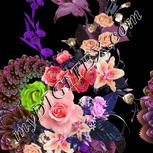 Colour:B