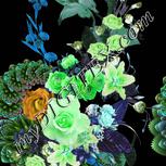 Colour:C