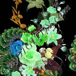 Colour:D
