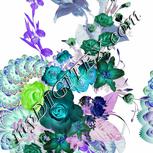 Colour:F