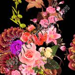 Colour:J