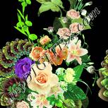 Colour:K