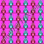 Colour:B