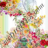 Colour:A