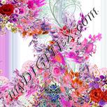 Colour:B