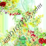 Colour:K