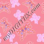 Colour:B