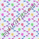 Colour:B