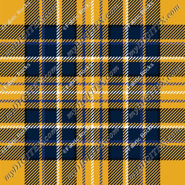 Mountaineer Tartan 1b