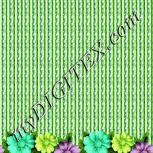 Colour:K