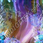 Colour:F