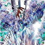 Colour:F