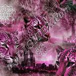 Colour:B