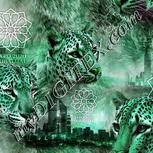 Colour:C