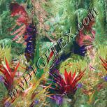 Colour:A