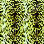 Colour:K