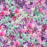 Colour:B