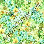 Colour:K