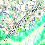 Colour:C