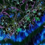 Colour:F