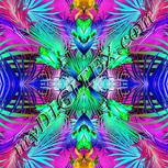 Colour:C
