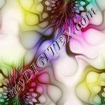 Colour:B